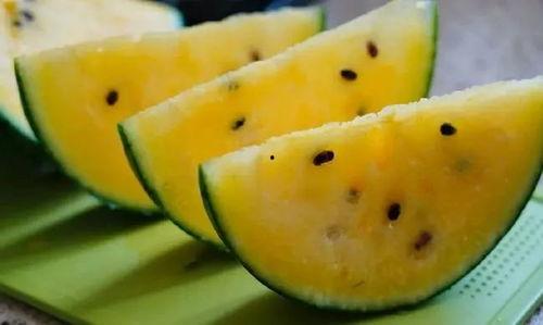 甘肃最新的瓜爆料,瓜果飘香,丰收喜讯传四方